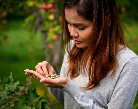 Comprendre les risques potentiels des compléments alimentaires à base de plantes