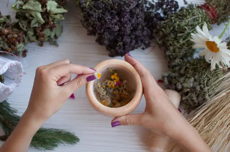 Comprendre les systèmes de guérison traditionnelle : un pont entre sagesse ancienne et santé moderne