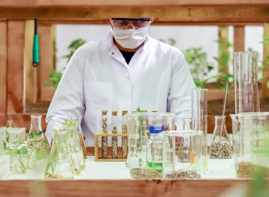 Contrôle de la qualité en médecine traditionnelle