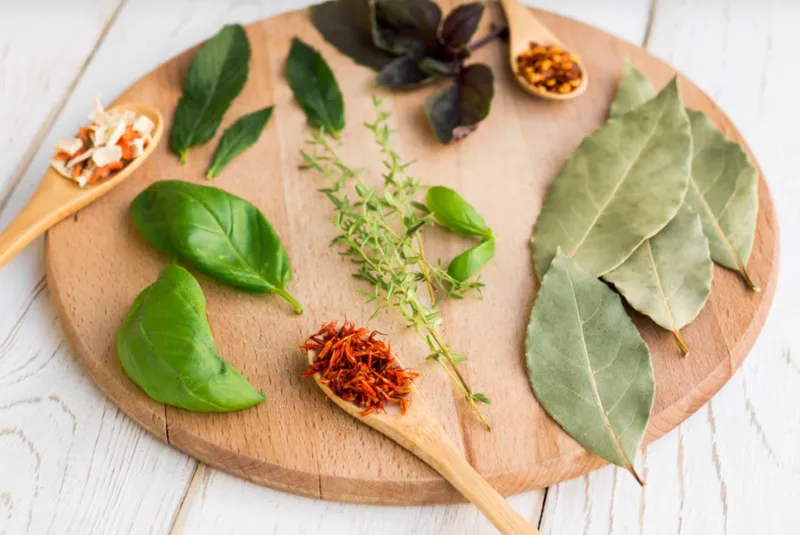 Les herbes ayurvediques les plus populaires et leurs proprietes therapeutiques