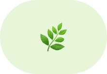 Innovation santé — téléconsultation, e-santé et technologies bien-être