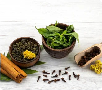Médecine à base de plantes