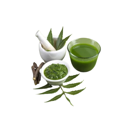 Neem — plante ayurvédique